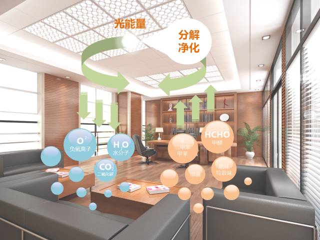 PG齫ˣйٷվ